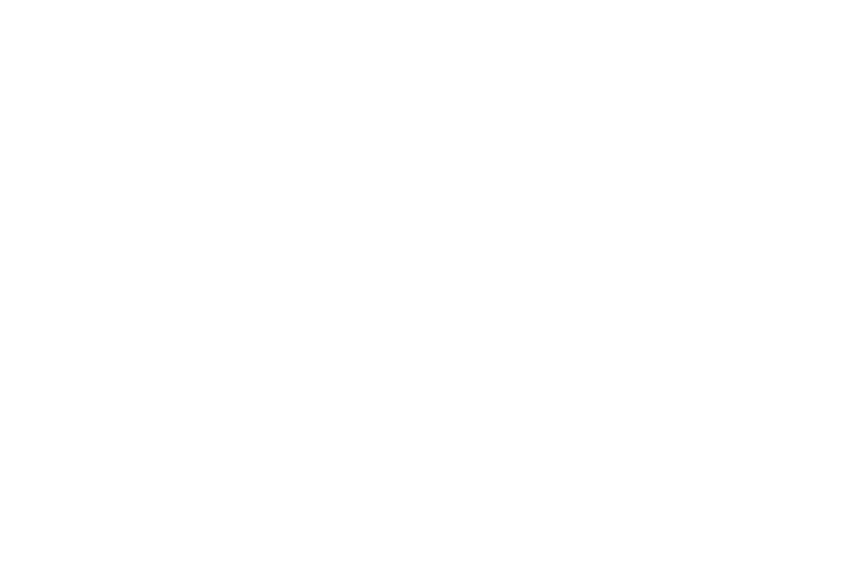 Audiolink Brasil